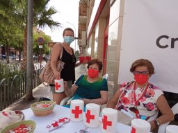 IMG_20210815_104702